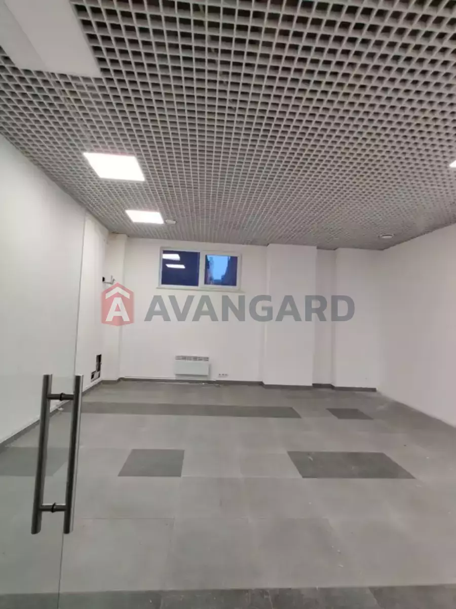 41 ��.�. ���� 3