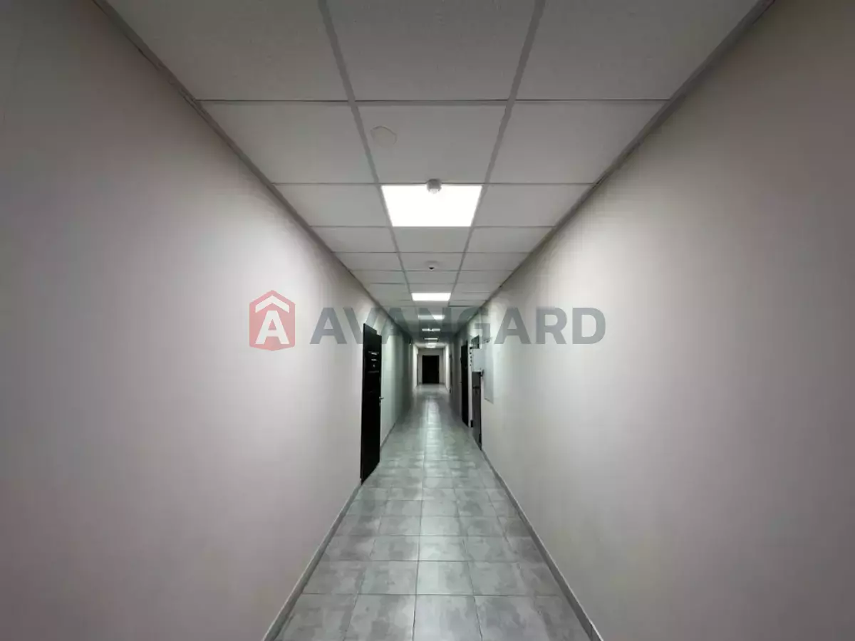 50 ��.�. ���� 7