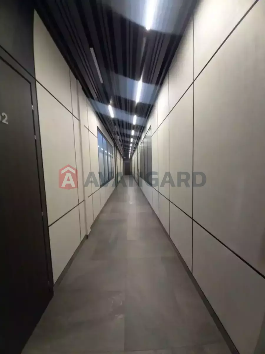 51 ��.�. ���� 2