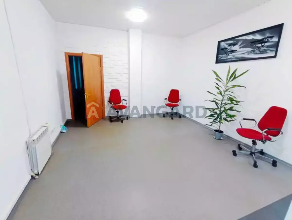 ������, 56 ��.�. ���� 1