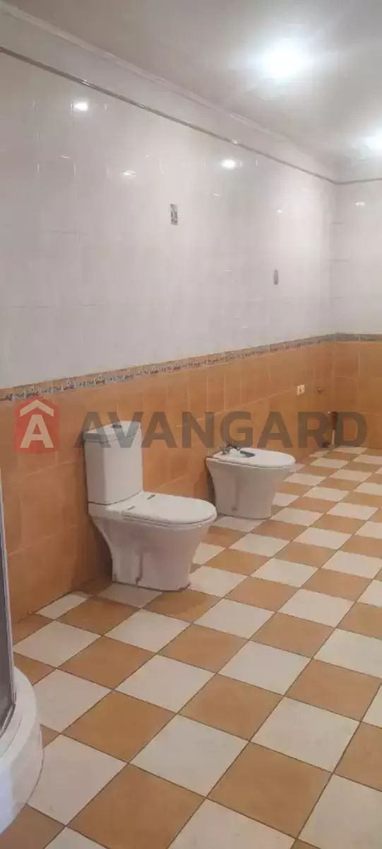 184 ��.�. ���� 9