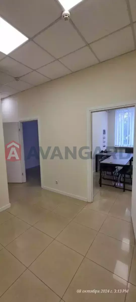 43 ��.�. ���� 3