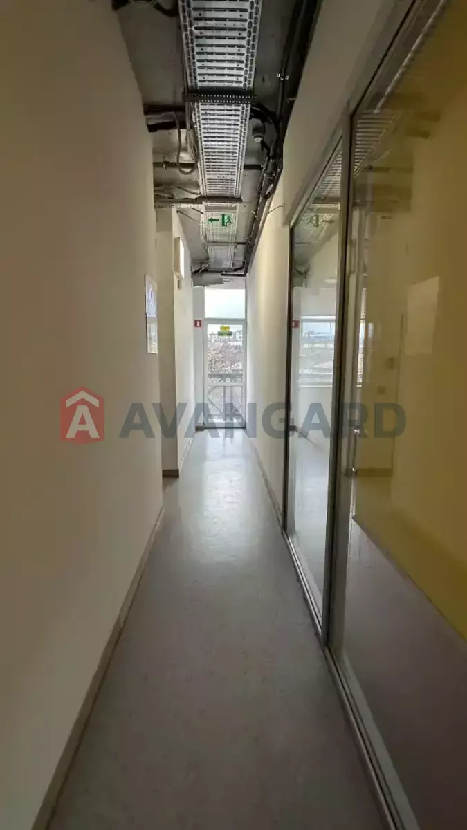 579 ��.�. ���� 3