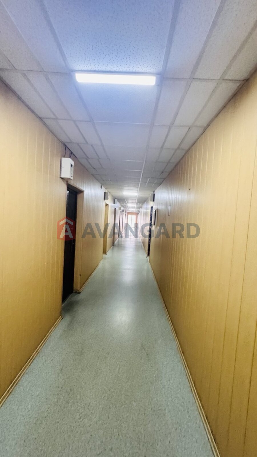 ���������������� ���������, 18 ��.�. ���� 4