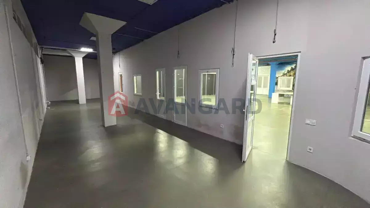 430 ��.�. ���� 6