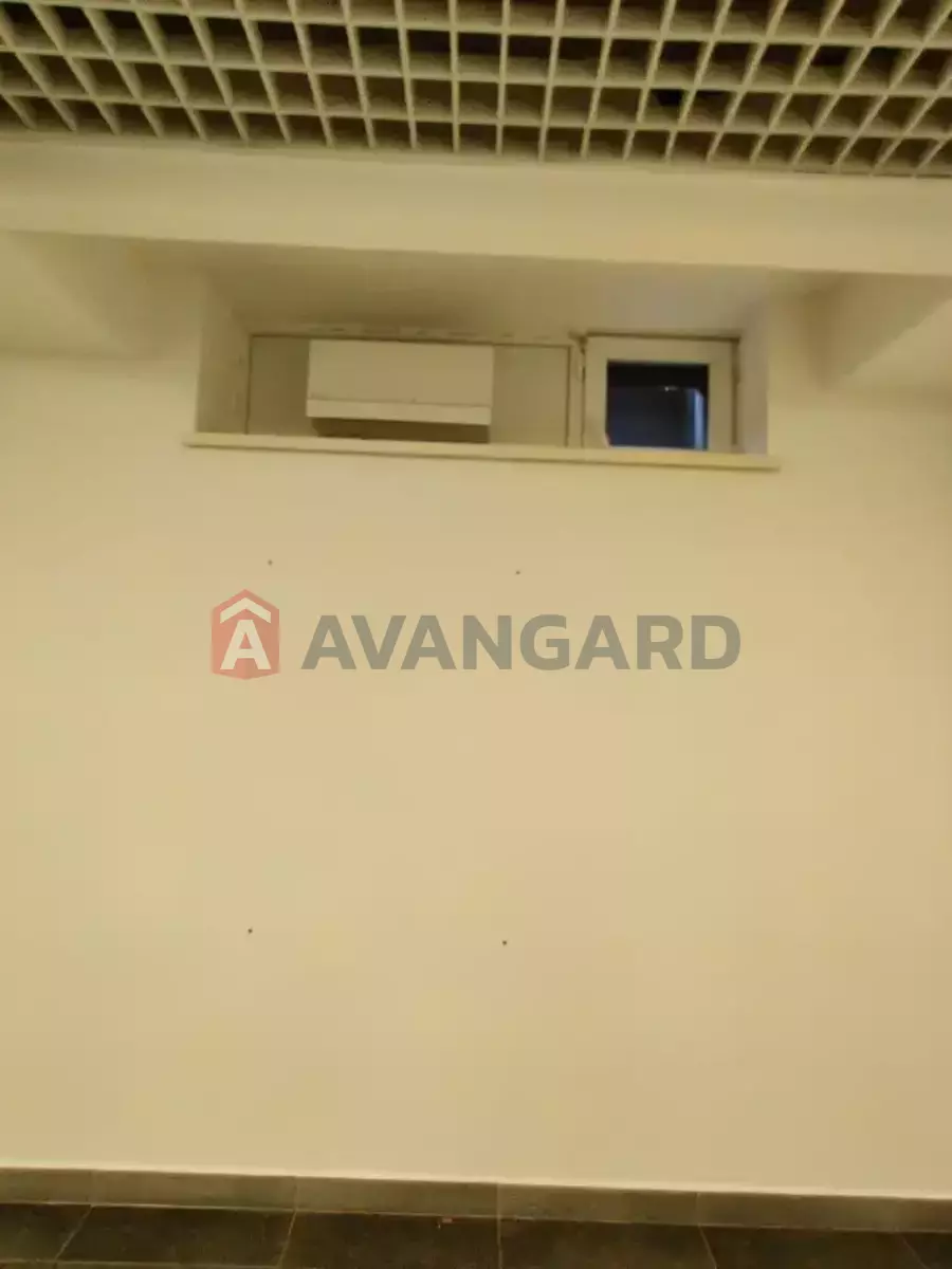 54 ��.�. ���� 6