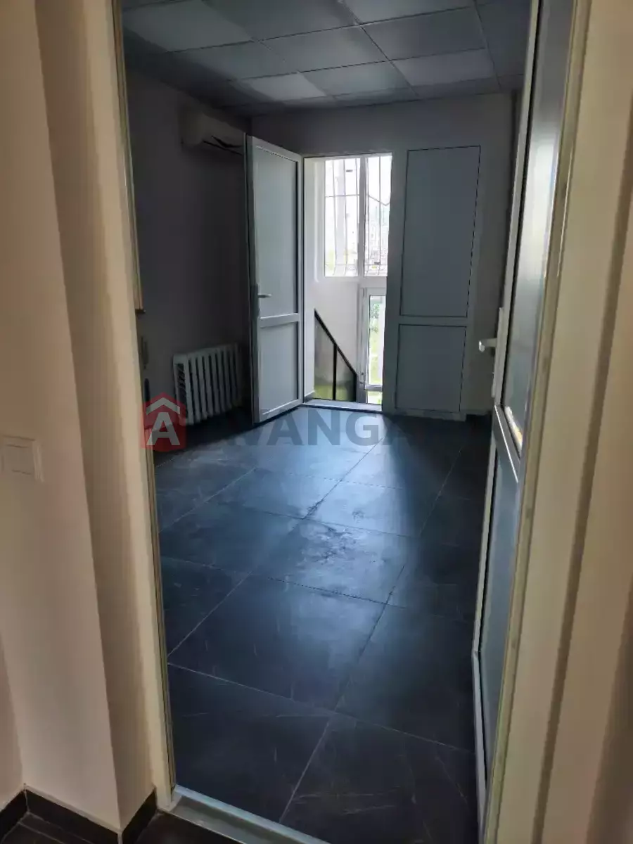 ����, 65 ��.�. ���� 6