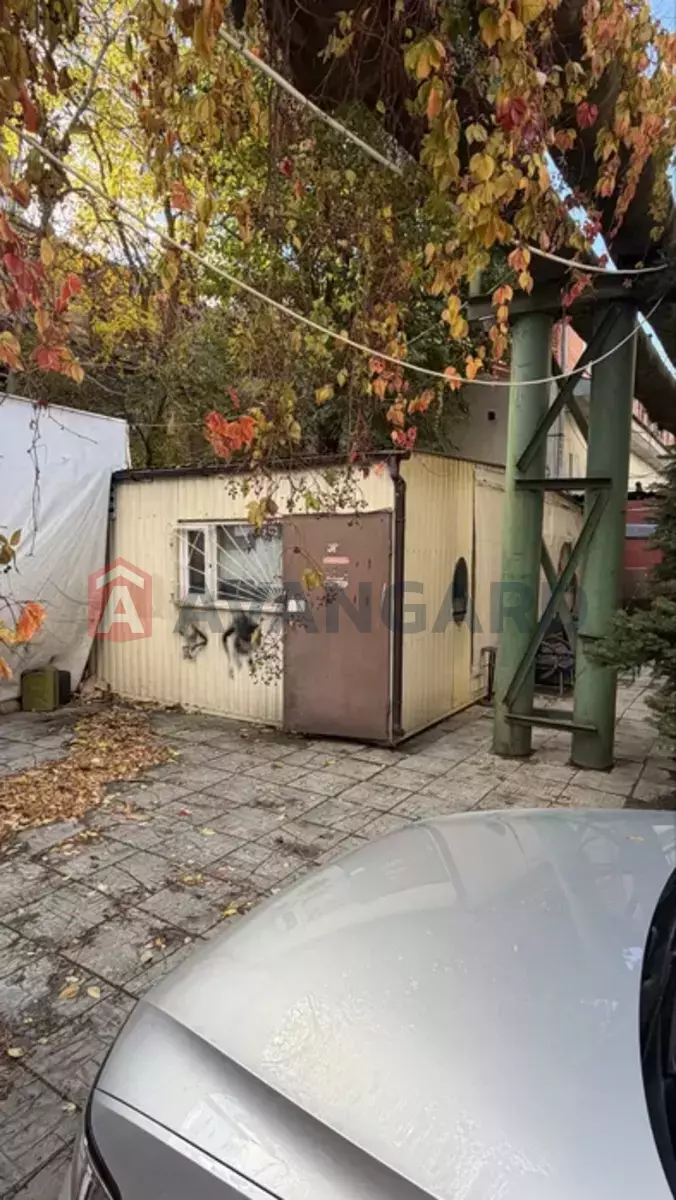 ����, 50 ��.�. ���� 2