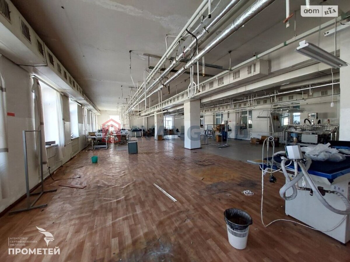 ��������� ���������, 2300 ��.�. ���� 8