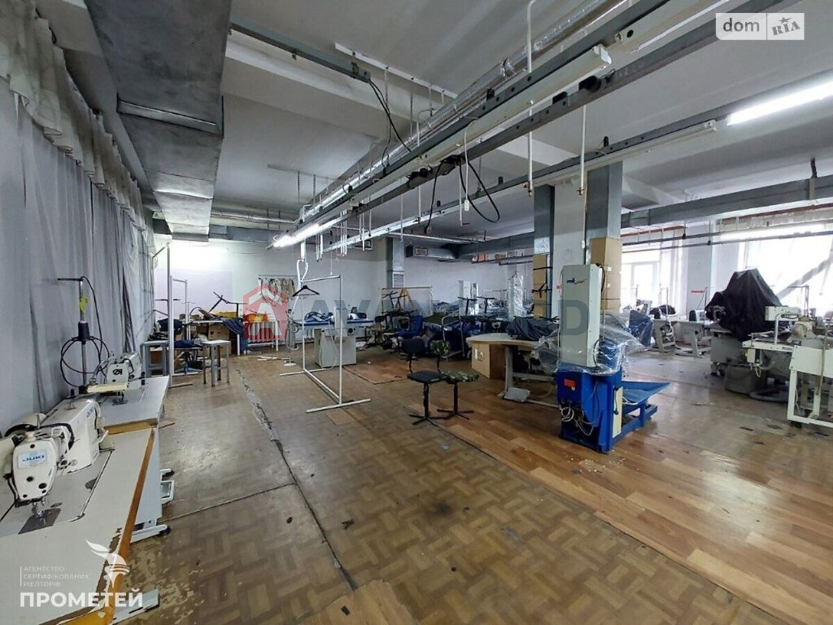 ��������� ���������, 2300 ��.�. ���� 19