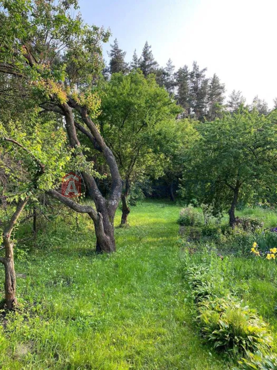 �����, 48 ��.�. ���� 14