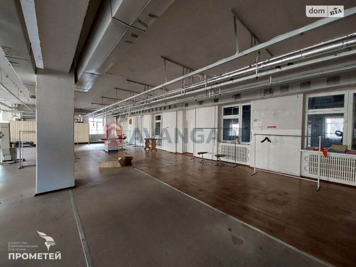 ��������� ���������, 2300 ��.�. ���� 6