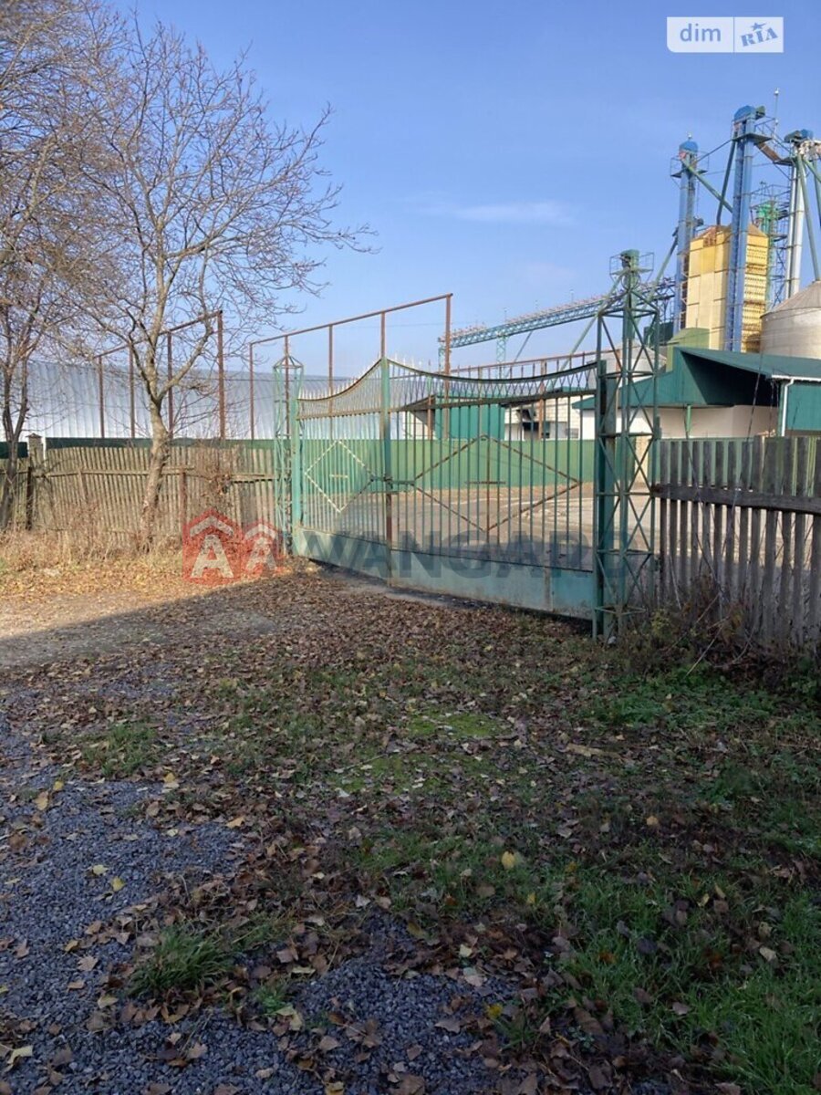 ��������� ���������, 1600 ��.�. ���� 5