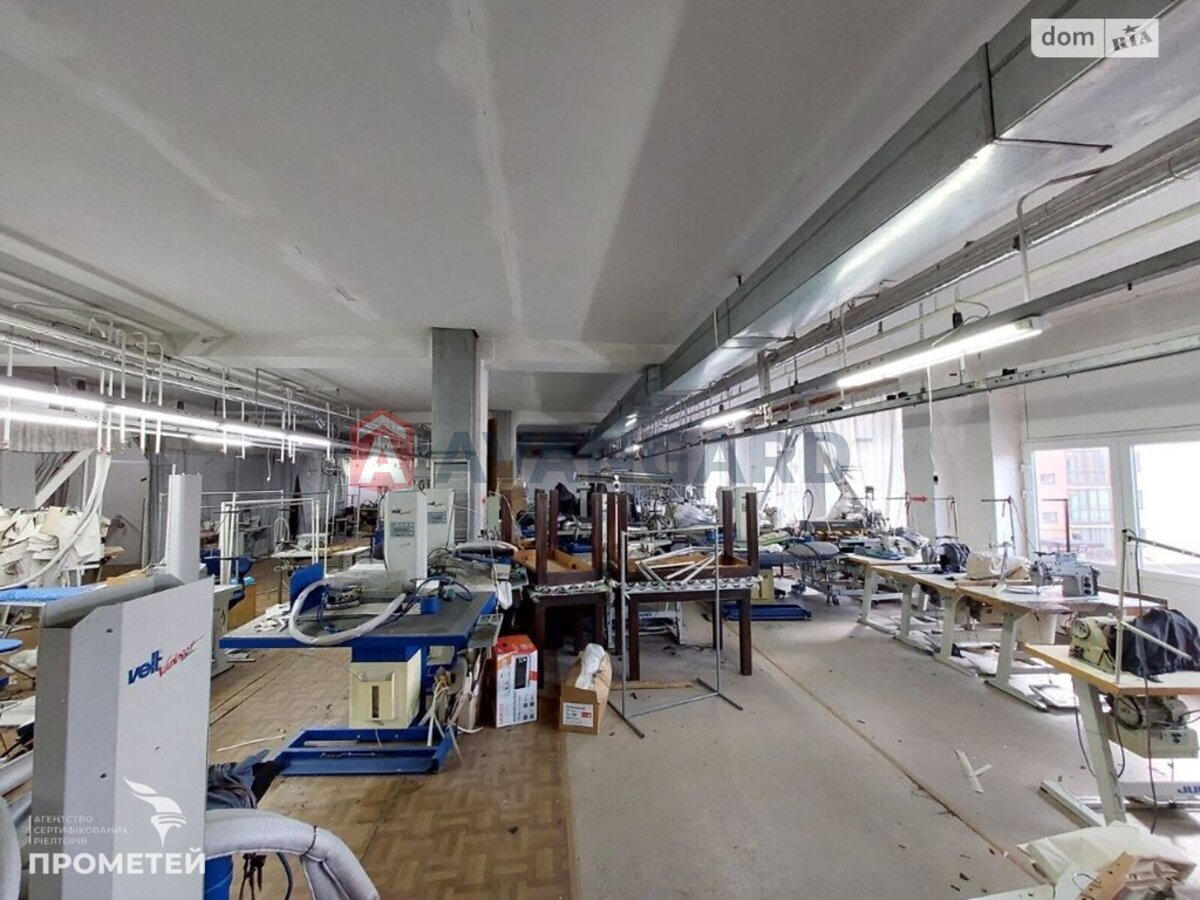 ��������� ���������, 2300 ��.�. ���� 24