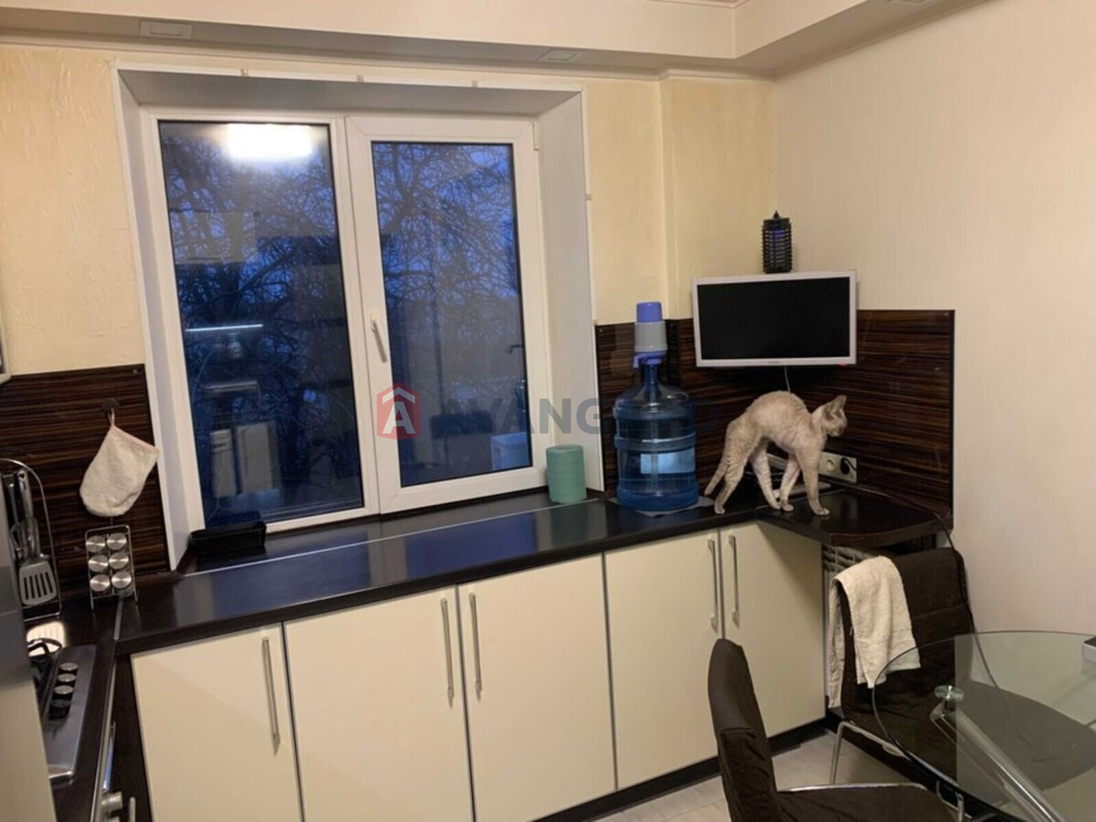 4 ��. ��������, 77/-/9 ��. �., 3/9 ������ ���� 18