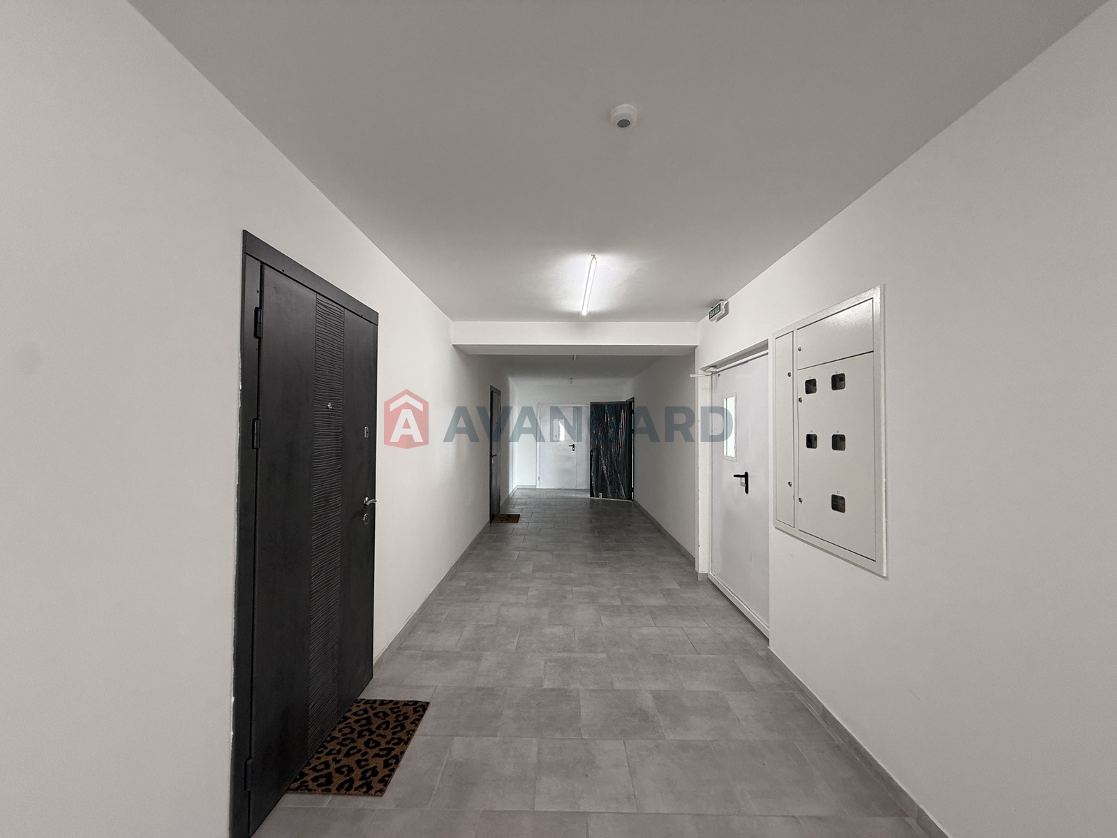 2 ��. ��������, 50/-/- ��. �., 6/10 ������ ���� 2