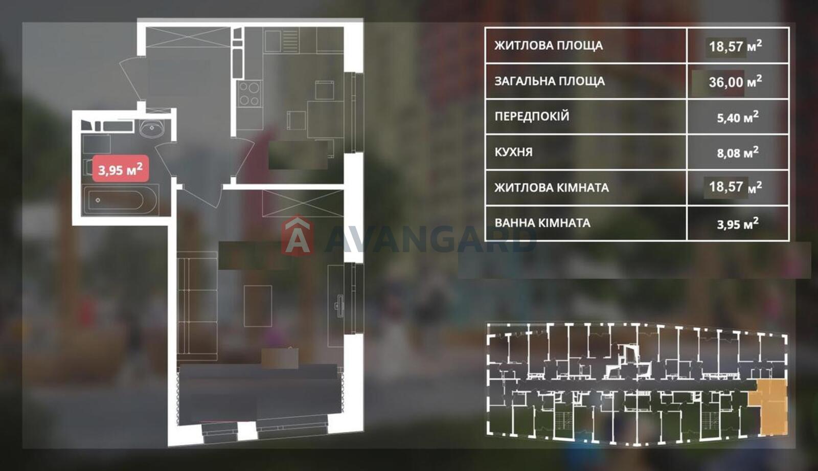 1 ��. ��������, 36/-/8 ��. �., 6/21 ������ ���� 1