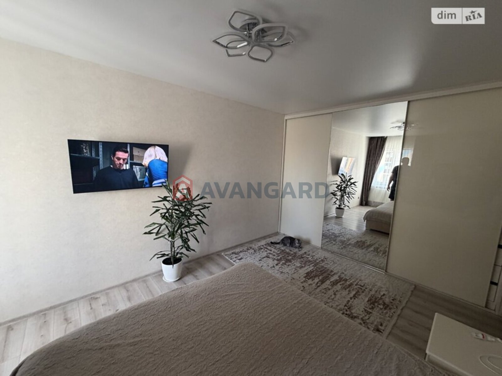 2 ��. ��������, 74/-/14 ��. �., 5/6 ������ ���� 6