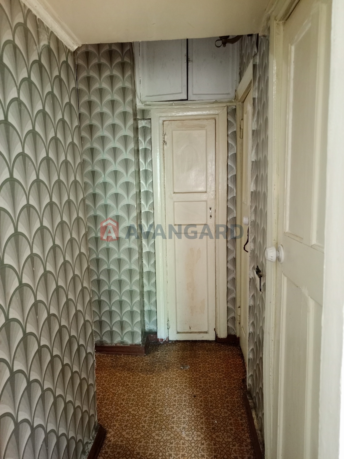 2 . , 48.9/31/5.7 . ., 3/3   10