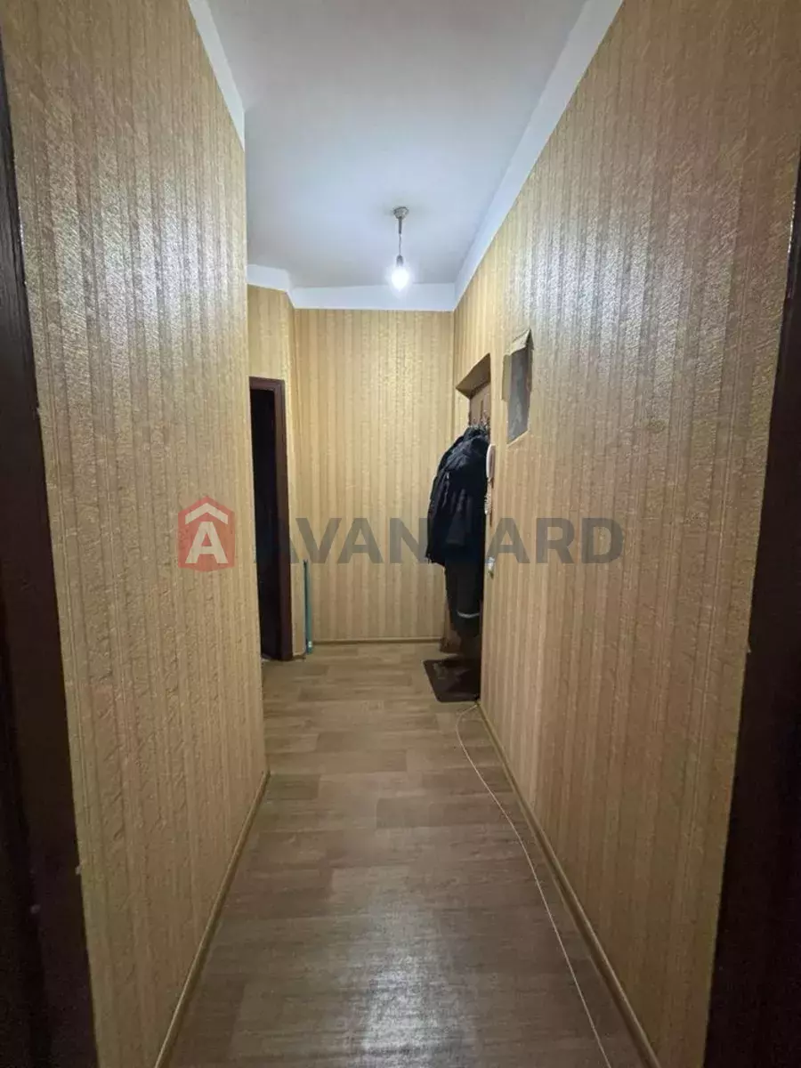 2 ����. ��������, 39/-/7 ��. �., 5/5 ���� ���� 5