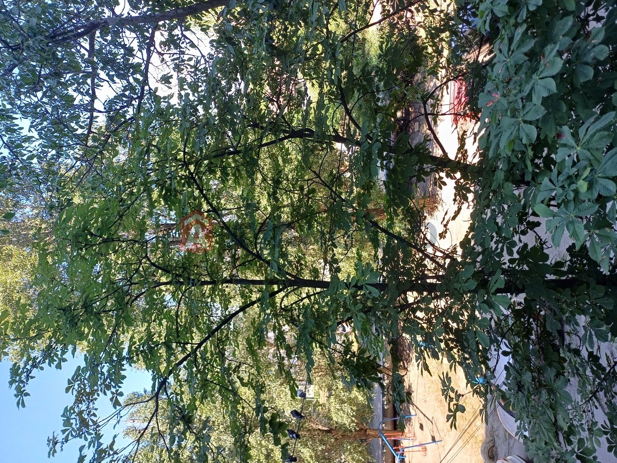 3 . , 59/-/8 . ., 3/9   13