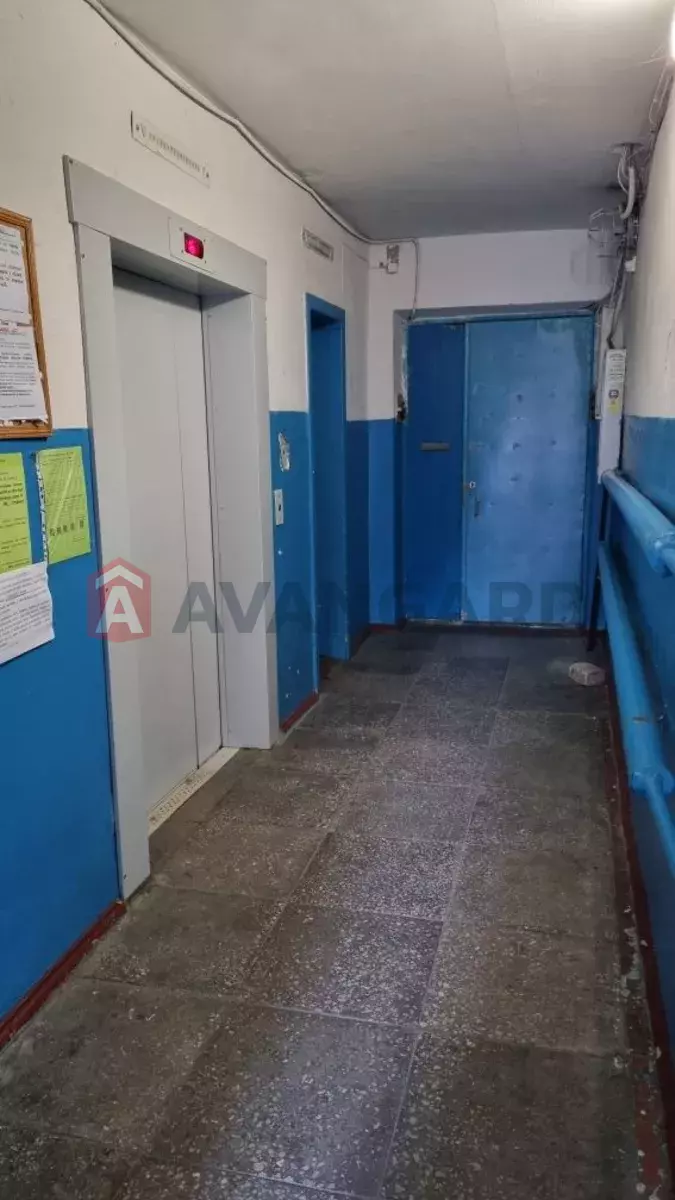 2 ��. ��������, 53/-/10 ��. �., 16/16 ������ ���� 3