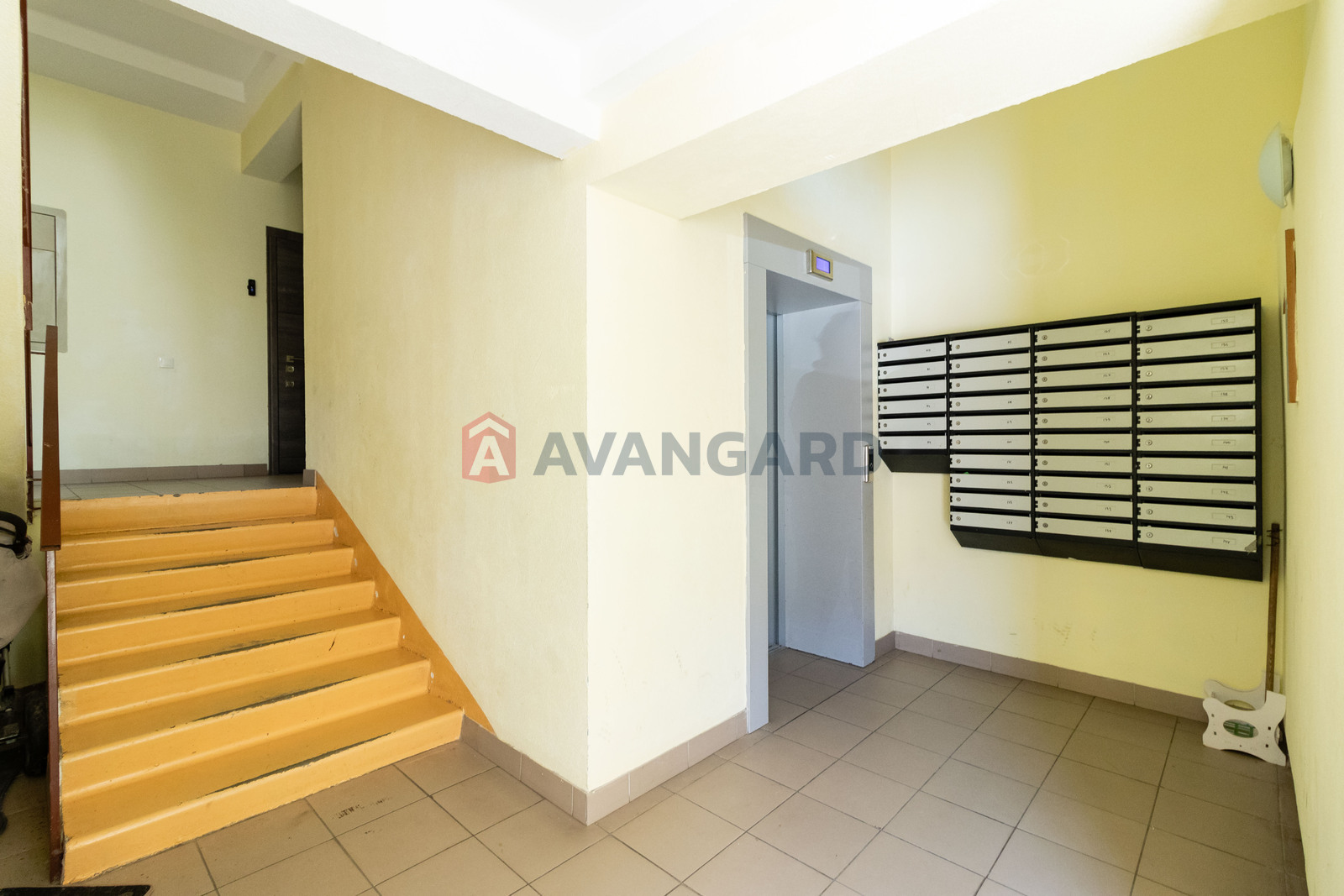 3 ��. ��������, 81/44/20 ��. �., 4/10 ������ ���� 22