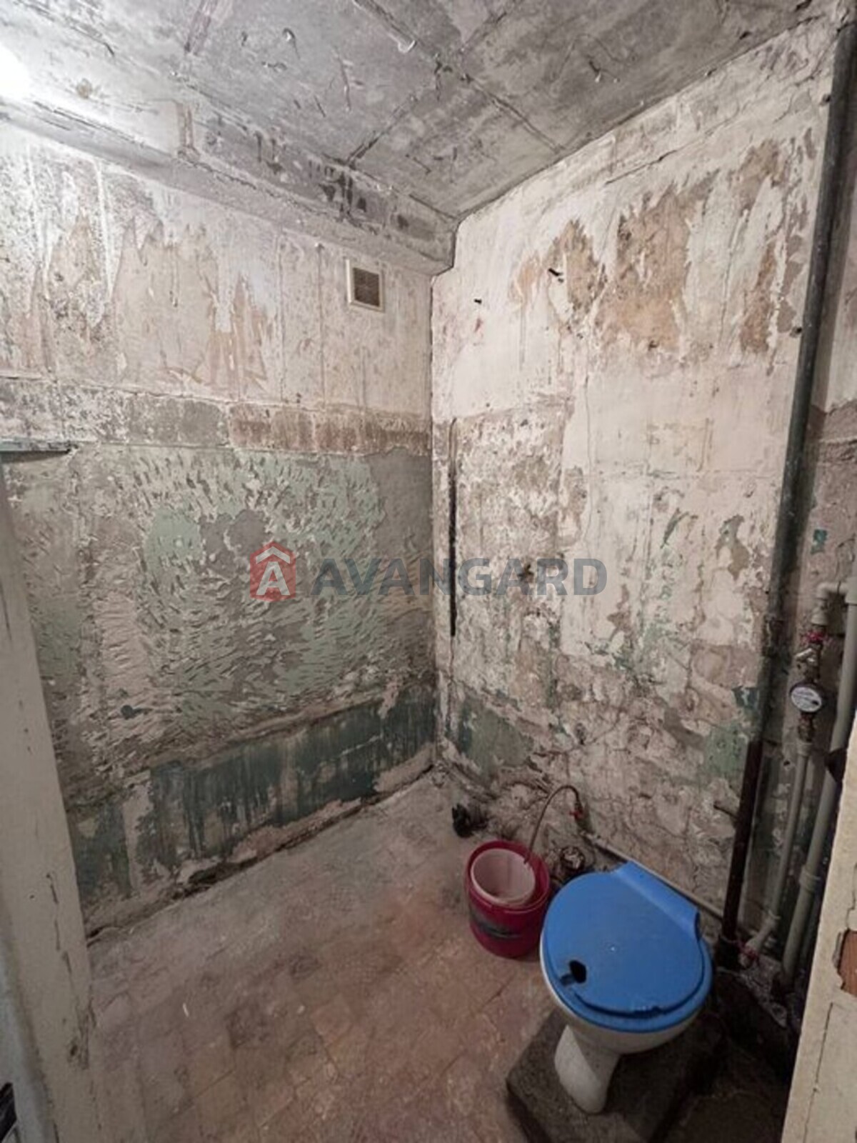 1 ����. ��������, 30/-/6 ��. �., 1/5 ���� ���� 7