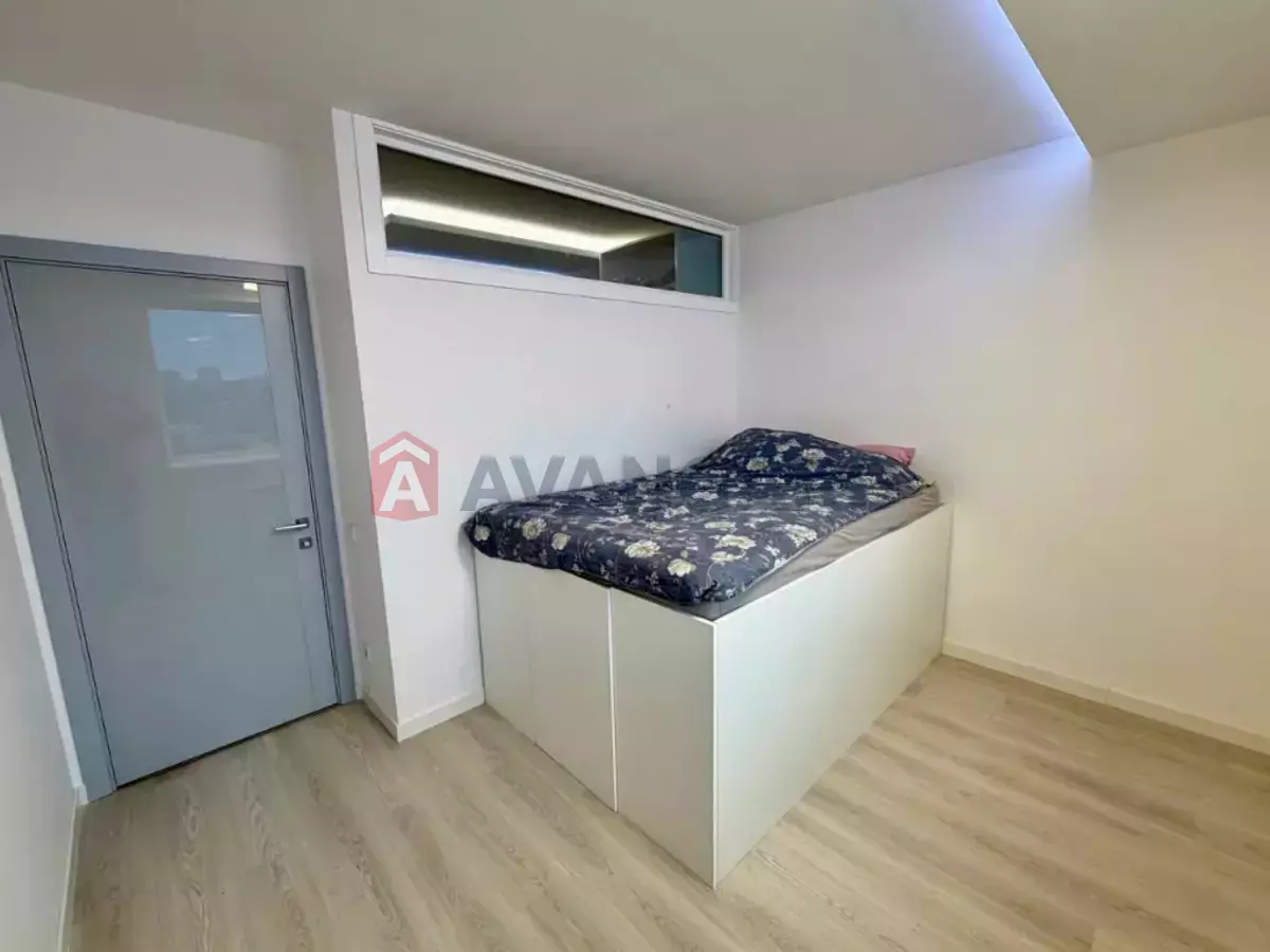 3 ��. ��������, 57/-/- ��. �., 10/12 ������ ���� 5