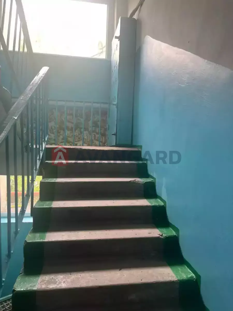 2 ��. ��������, 54/29/8 ��. �., 3/4 ������ ���� 19