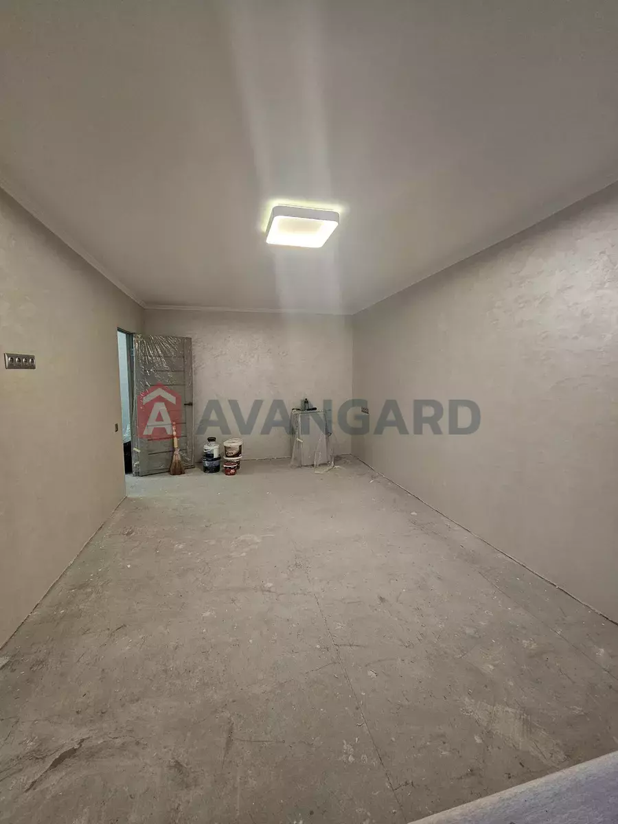 2 ����. ��������, 53/33/8 ��. �., 8/9 ���� ���� 3