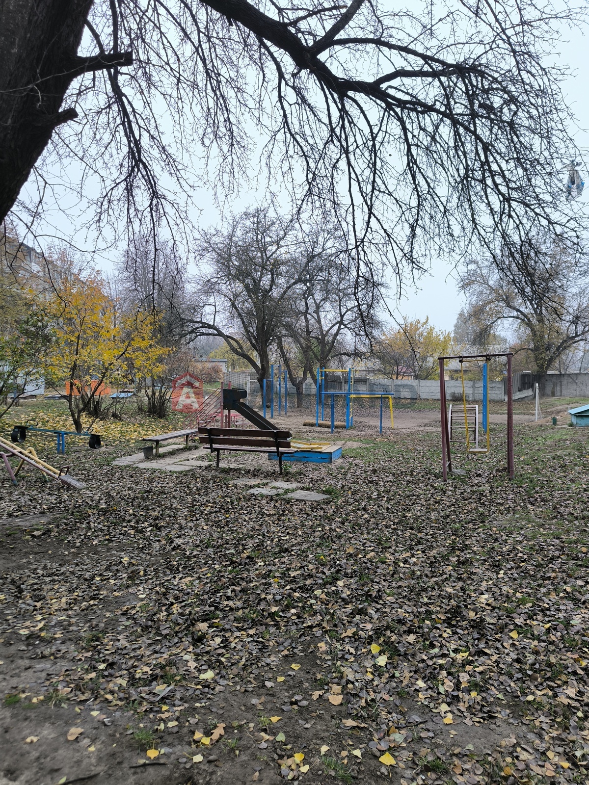 2 . , 46/-/6 . ., 5/5   3