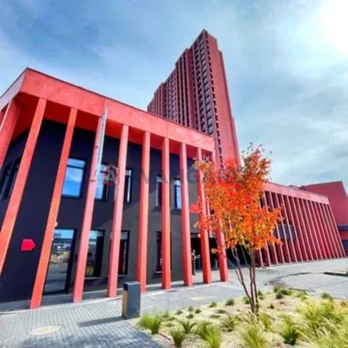 1 ��. ��������, 50/-/15 ��. �., 23/26 ������ ���� 13