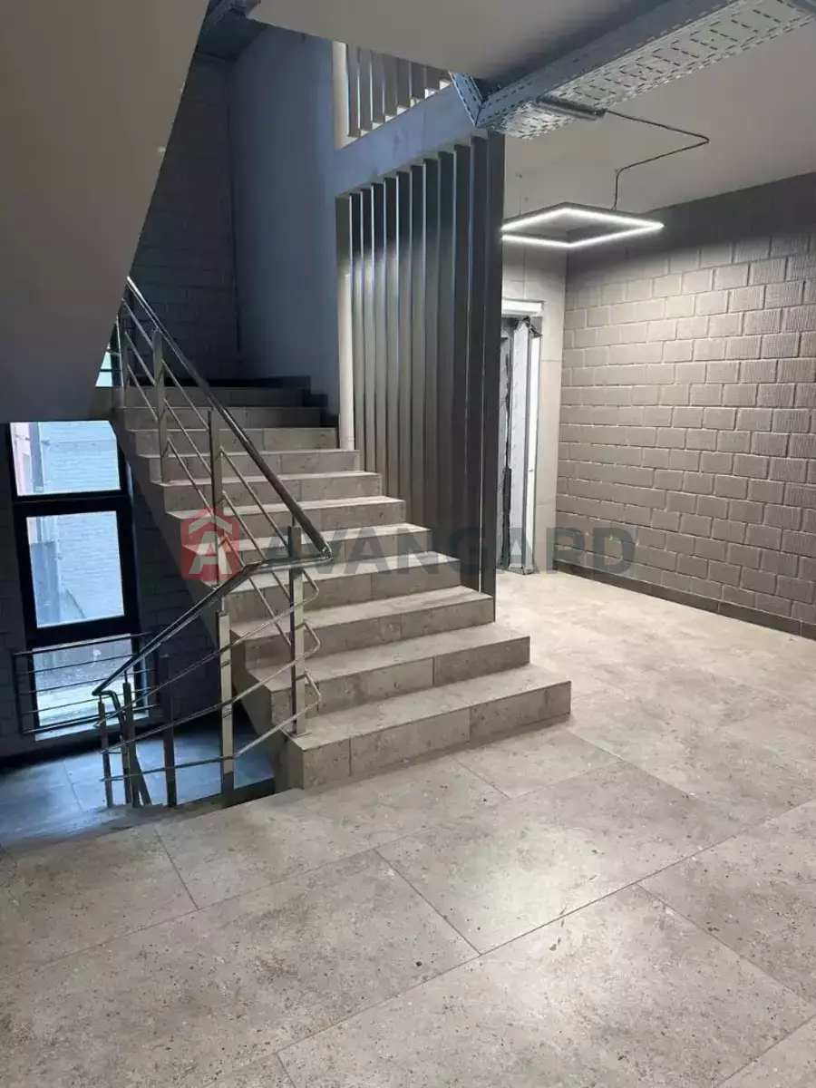 2 . , 49/-/- . ., 2/6   4