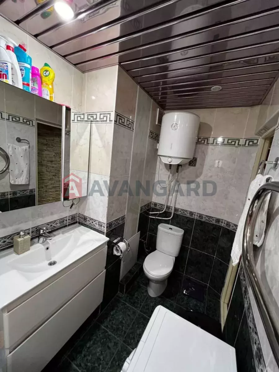 3 ����. ��������, 80/-/11 ��. �., 8/12 ���� ���� 11