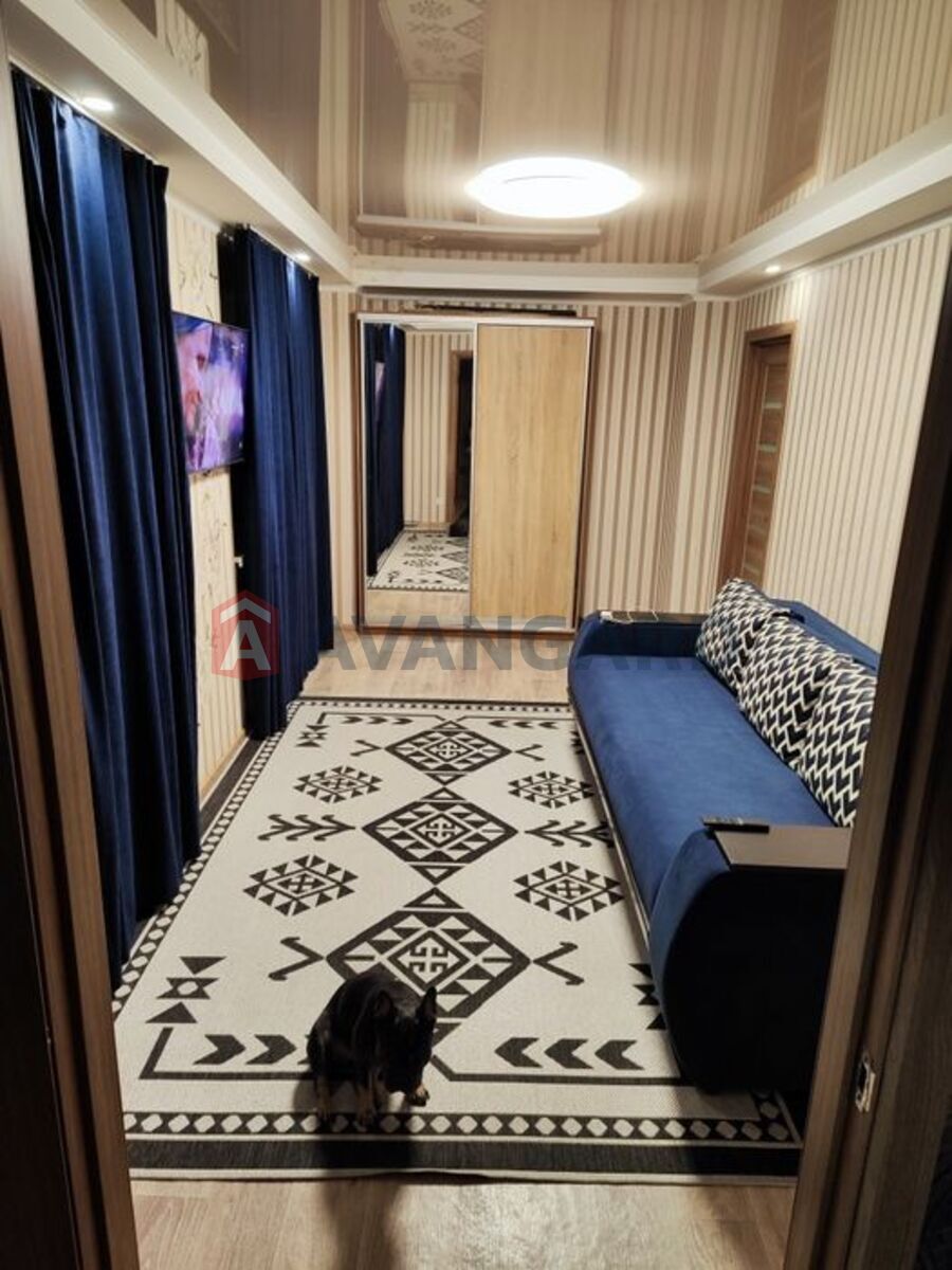 2 ��. ��������, 56/-/15 ��. �., 1/5 ������ ���� 3