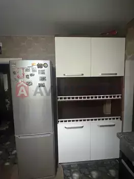 3 . , 81/-/12 . ., 12/25   6