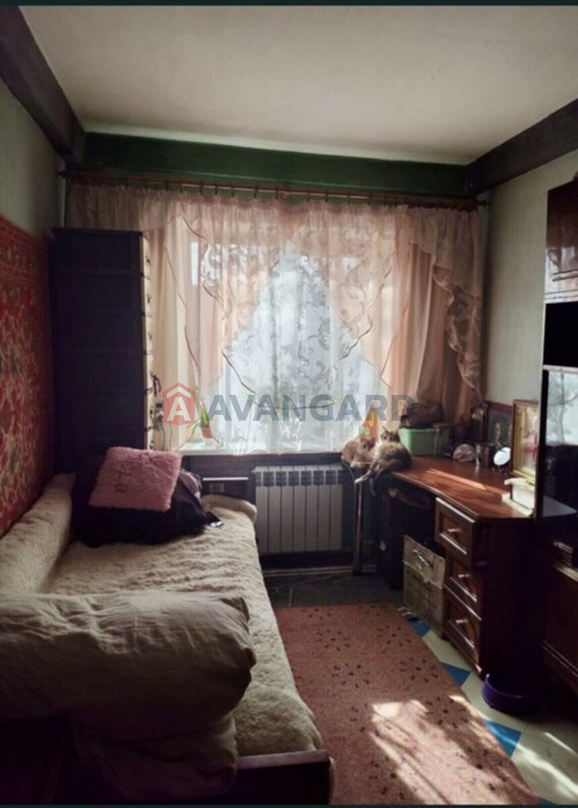 3 ��. ��������, 54/-/6 ��. �., 5/5 ������ ���� 3