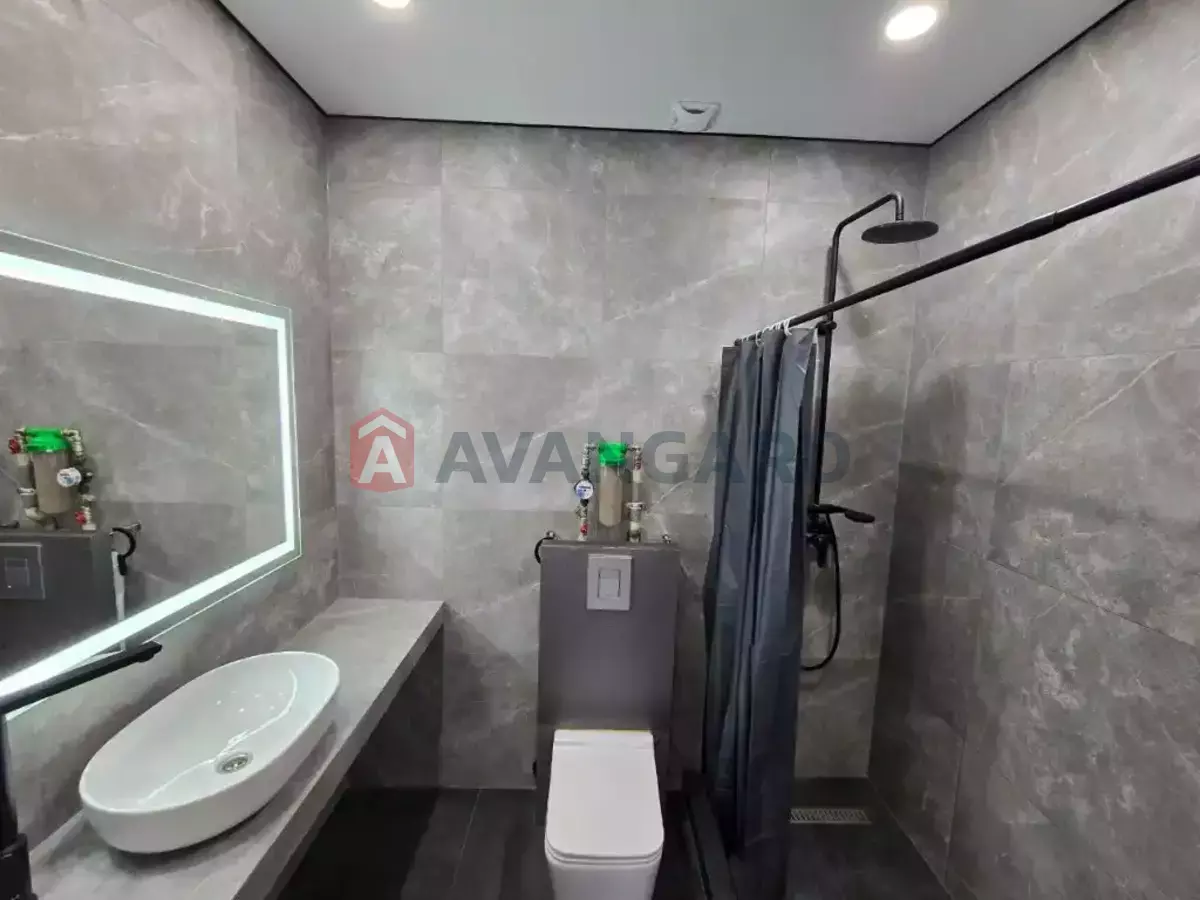 3 . , 56/-/- . ., 2/4   11