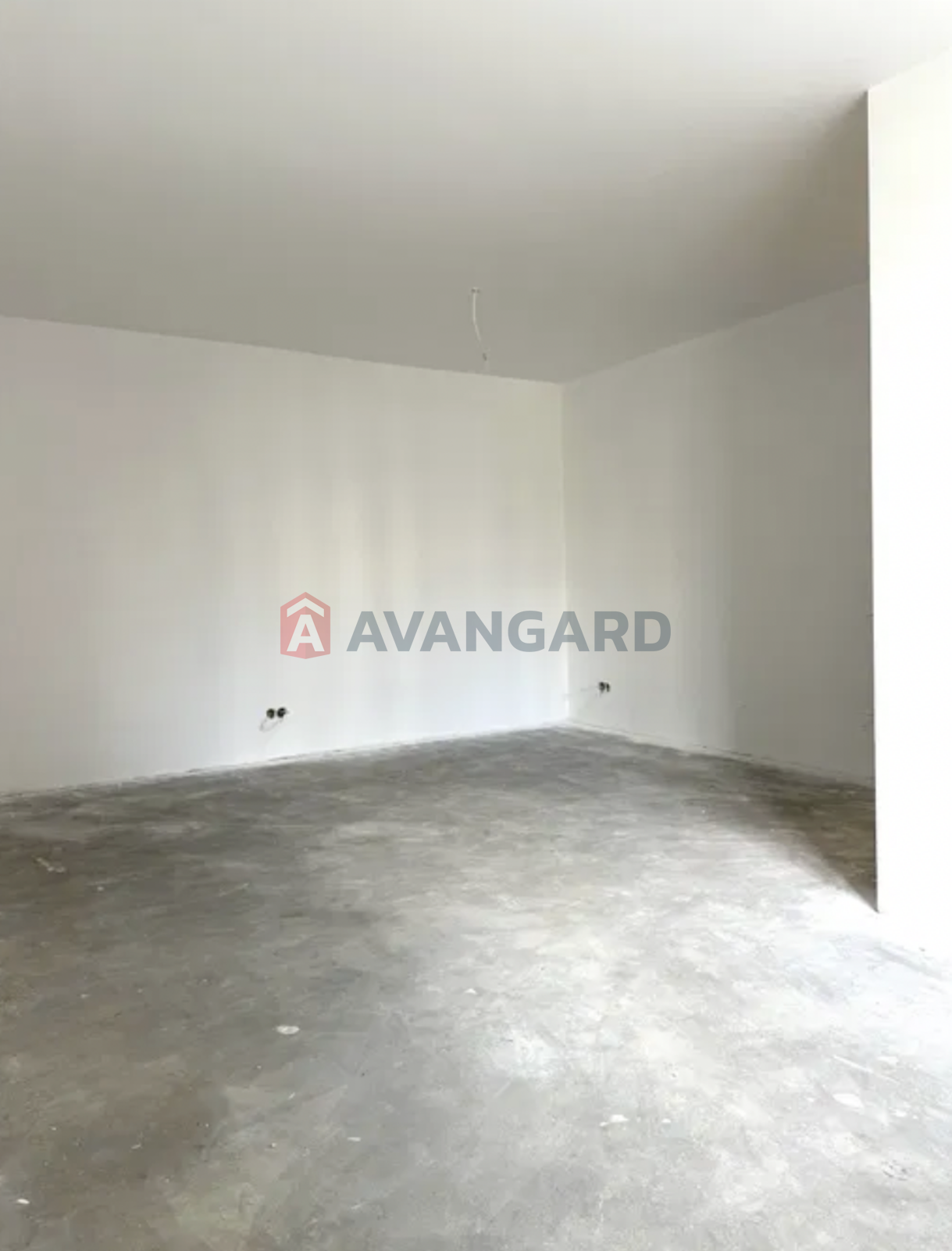 1 ��. ��������, 31/-/11 ��. �., 1/4 ������ ���� 5