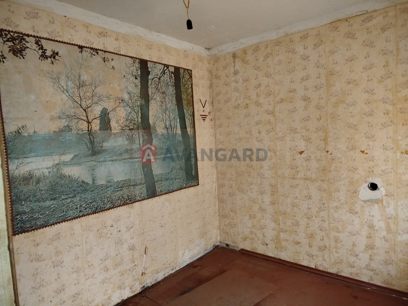 5 ��. ��������, 103/55/7 ��. �., 1/10 ������ ���� 3