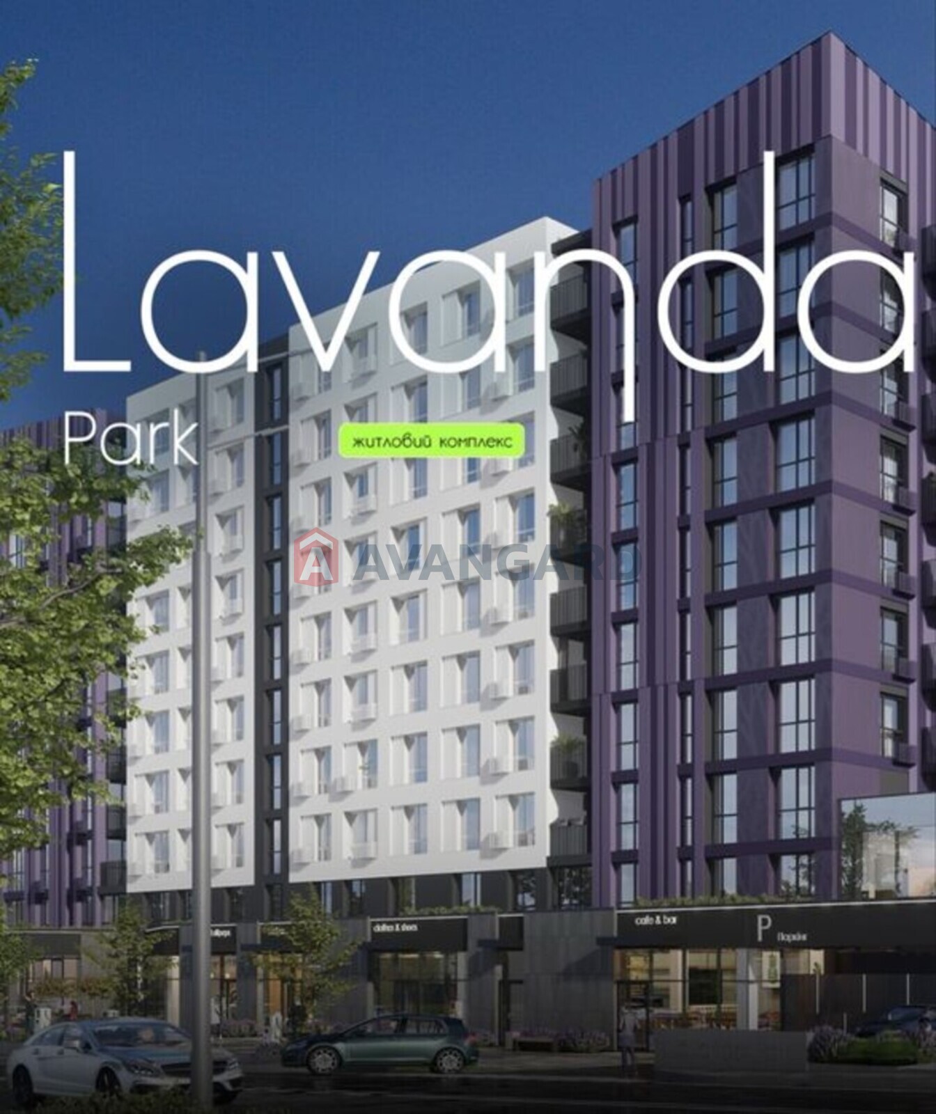 1 ��. ��������, 41/-/15 ��. �., 2/10 ������ ���� 2