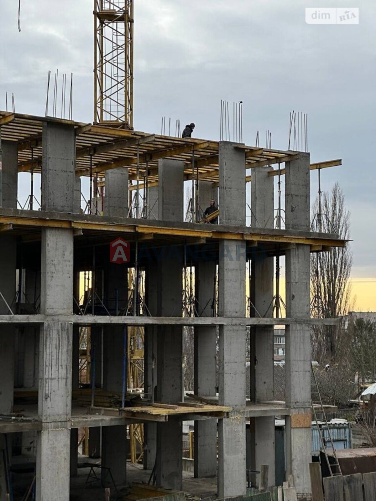 2 ��. ��������, 74/-/- ��. �., 2/10 ������ ���� 15