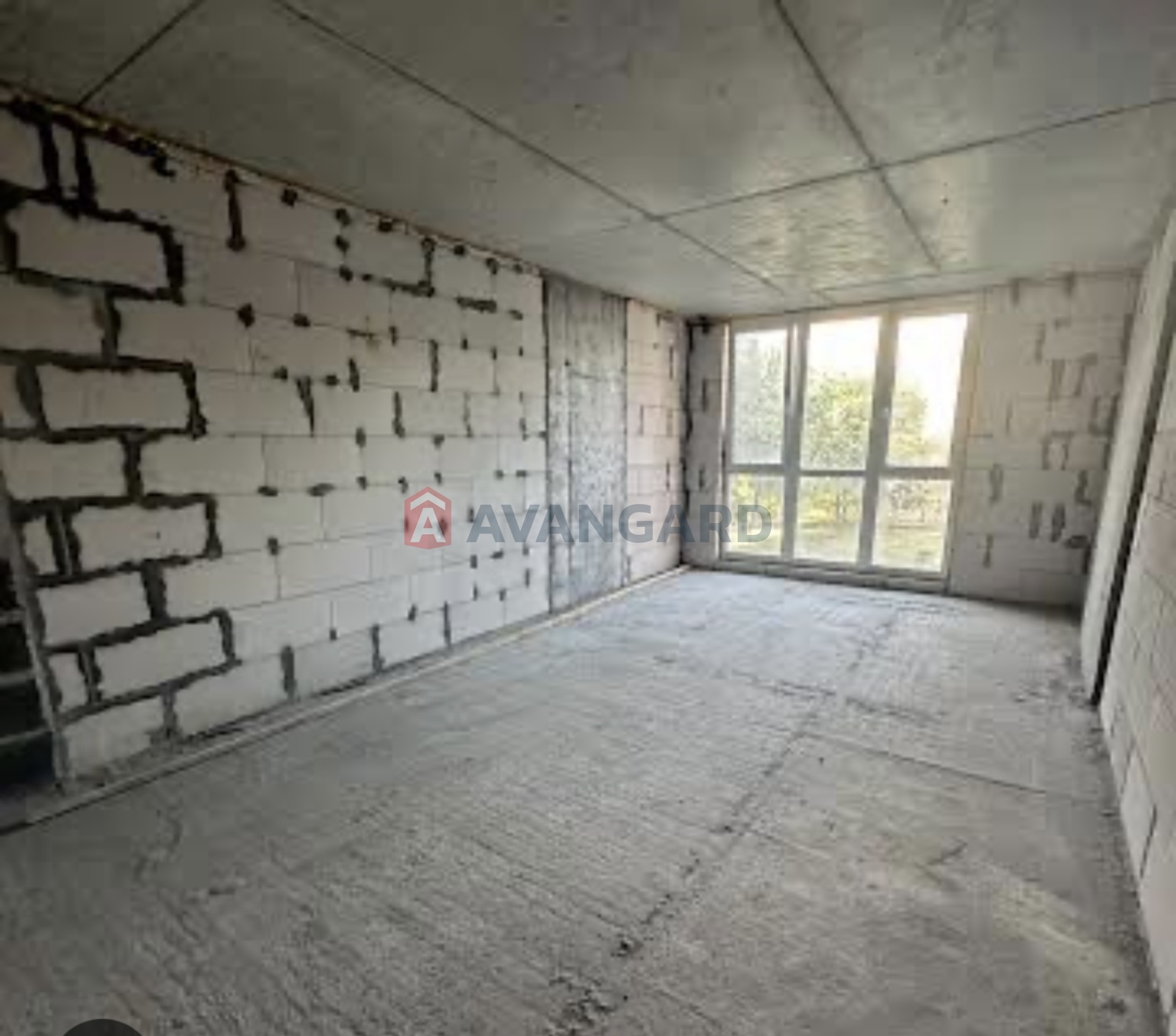 1 . , 33/-/6 . ., 12/12   6