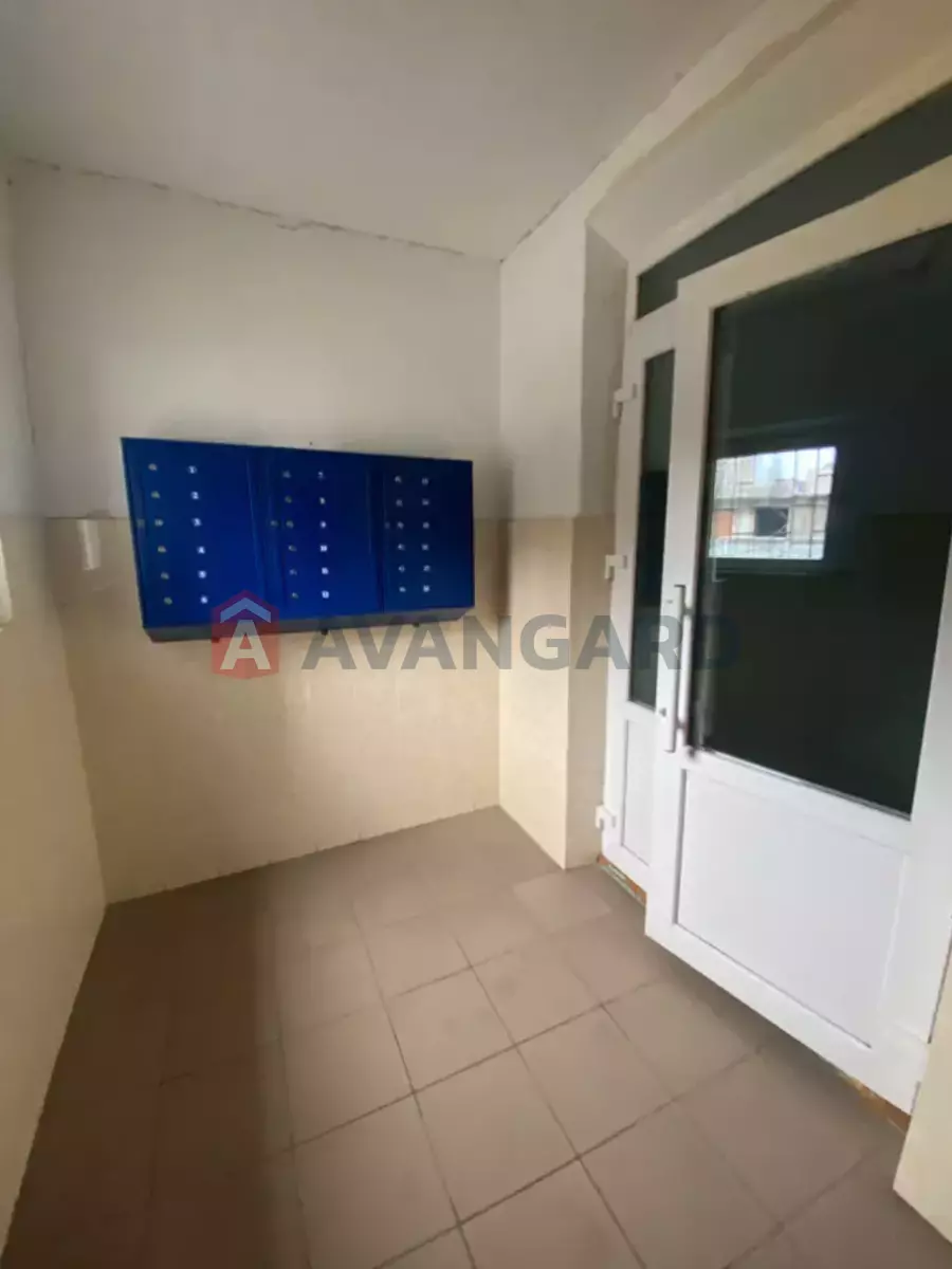 3 ����. ��������, 66/-/- ��. �., 7/8 ���� ���� 14