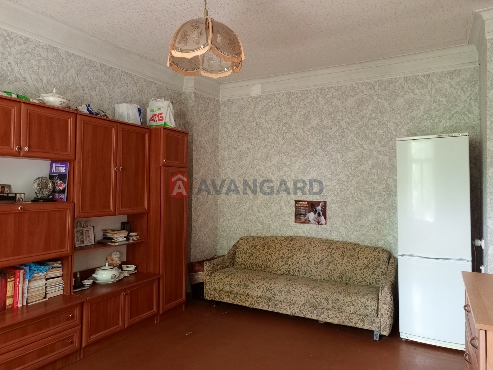 2 . , 48.9/31/5.7 . ., 3/3   3