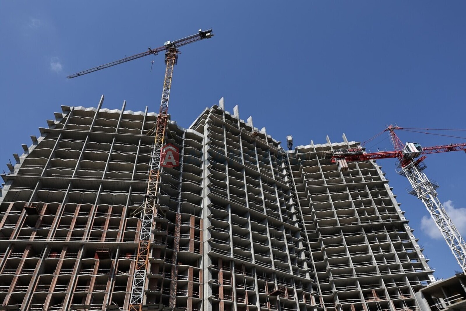 2 ����. ��������, 65/28/17 ��. �., 10/25 ���� ���� 5