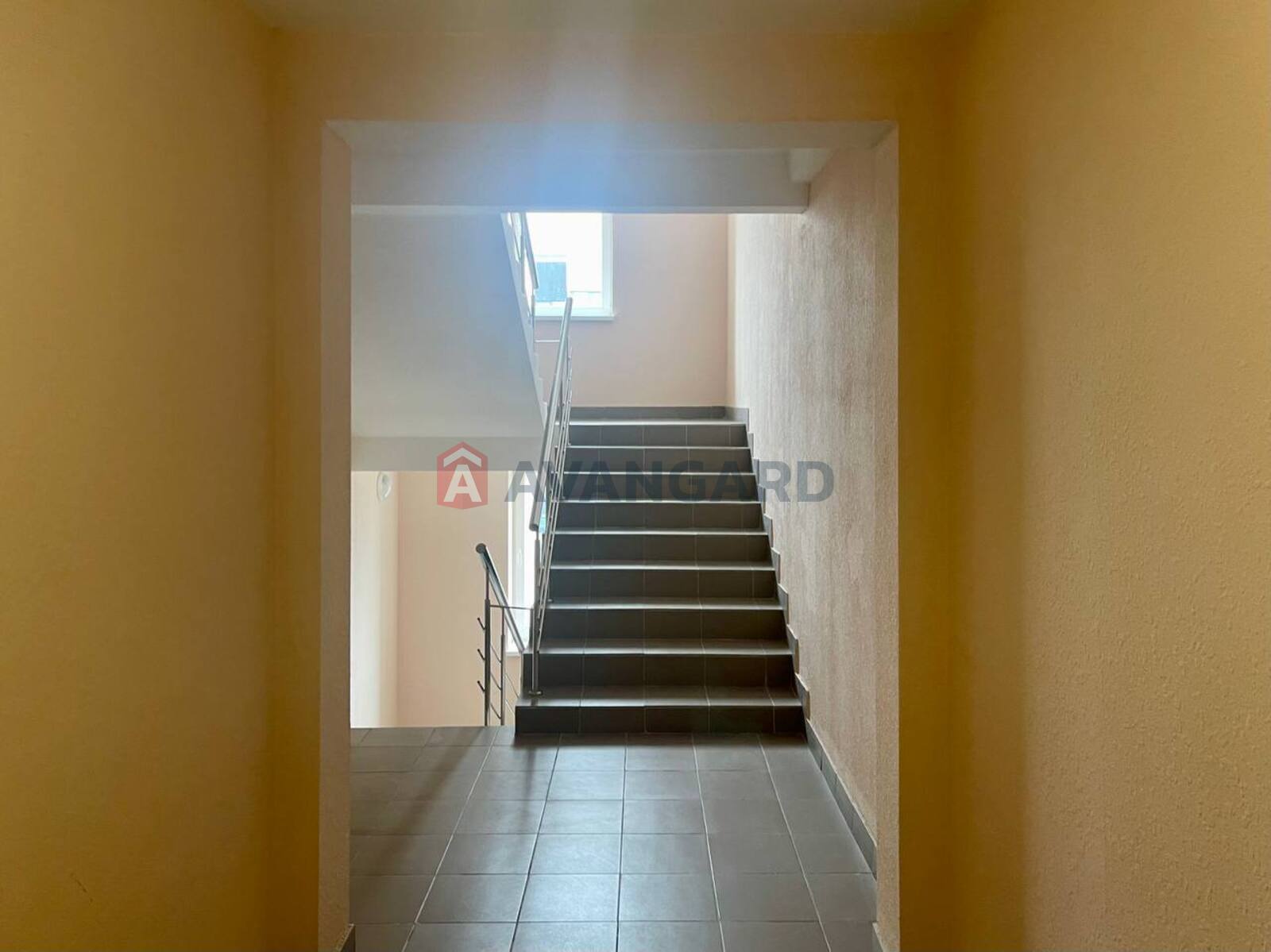 1 ��. ��������, 41/16/20 ��. �., 9/10 ������ ���� 24