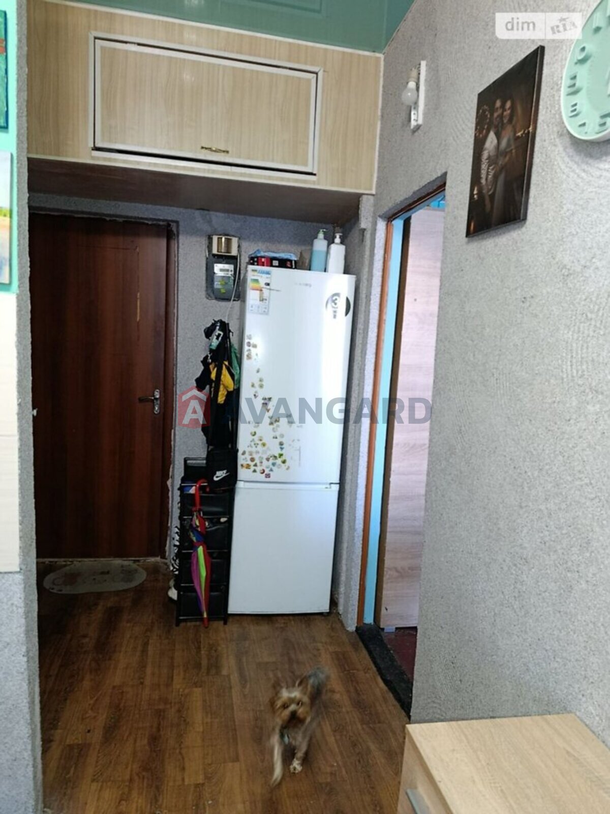 2 . , 30/24/9 . ., 1/2   10