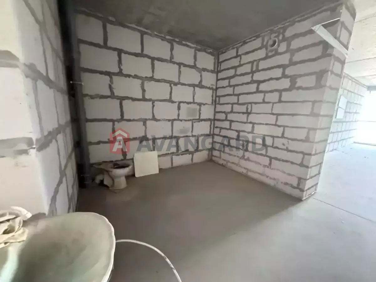 3 ��. ��������, 116/-/- ��. �., 17/26 ������ ���� 6